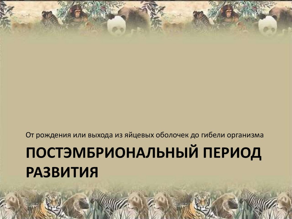 постЭмбриональный период развития