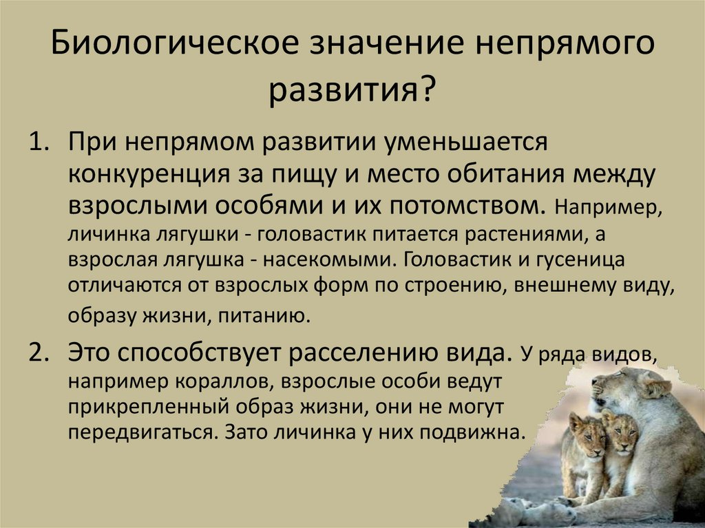 Биологическое значение непрямого развития?