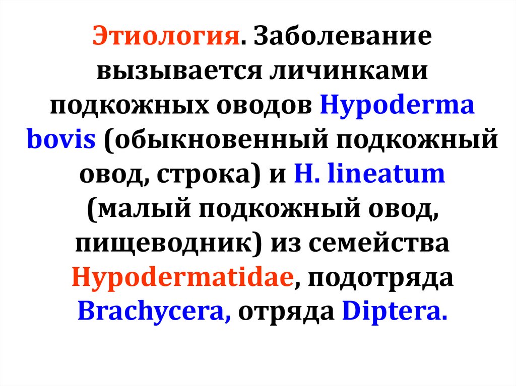 Этиология. Заболевание вызывается личинками подкожных оводов Hypoderma bovis (обыкновенный подкожный овод, строка) и H.
