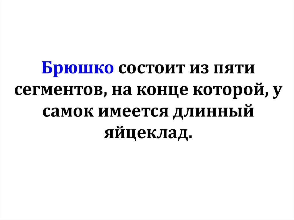 Брюшко состоит из пяти сегментов, на конце которой, у самок имеется длинный яйцеклад.