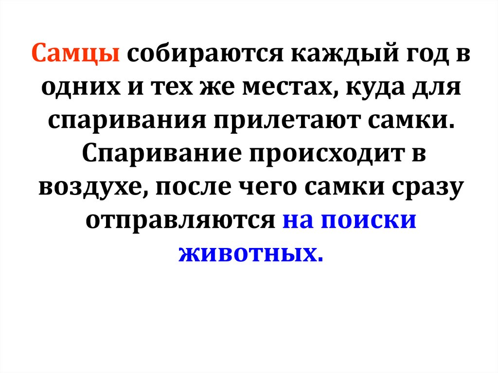 Самцы собираются каждый год в одних и тех же местах, куда для спаривания прилетают самки. Спаривание происходит в воздухе,