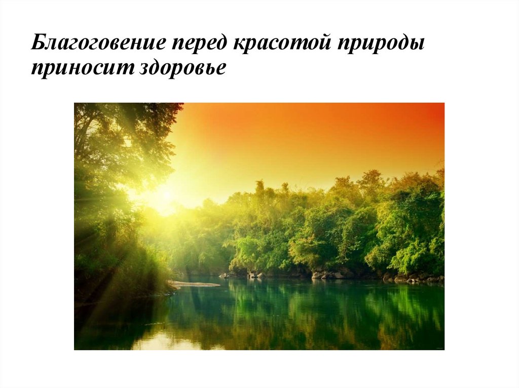 Благоговение перед красотой природы приносит здоровье