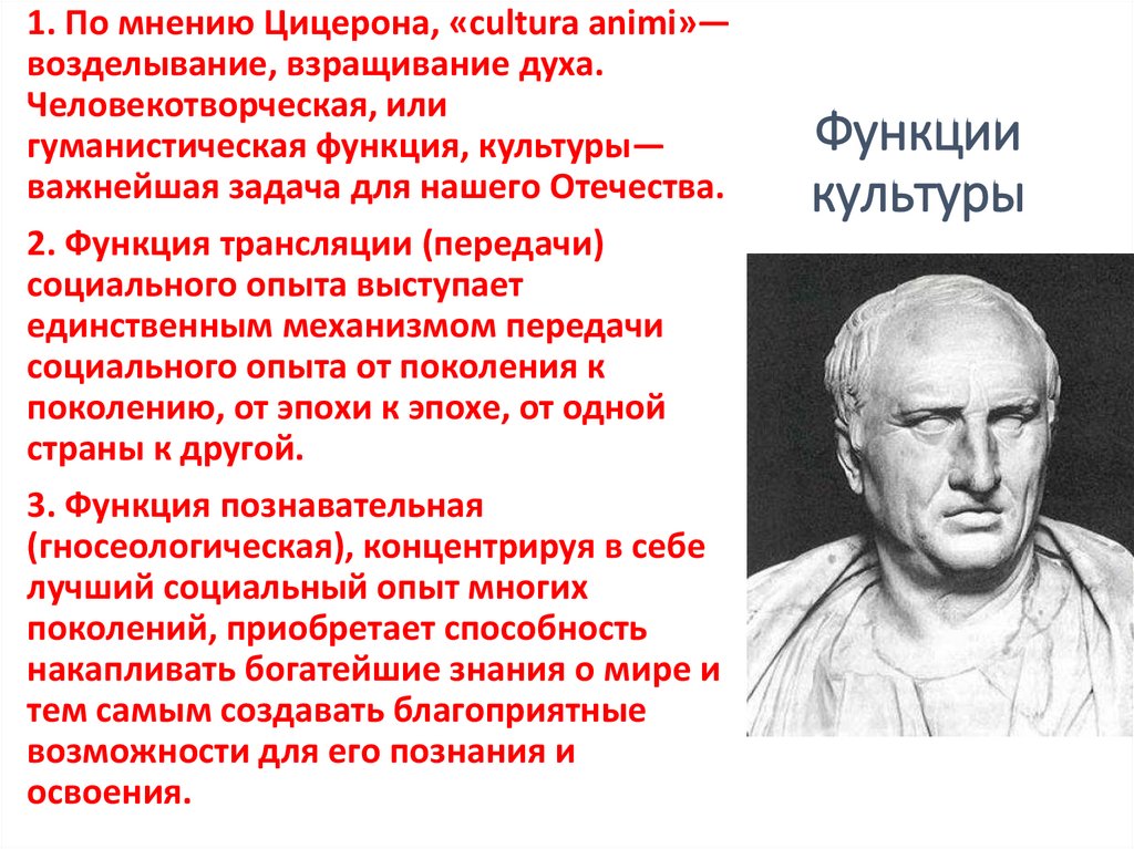 Функции культуры