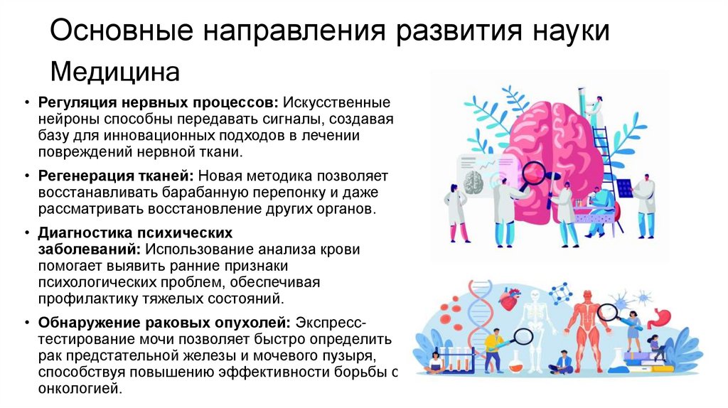 Основные направления развития науки