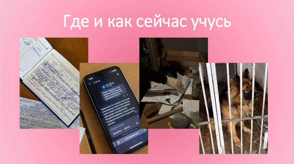 Где и как сейчас учусь