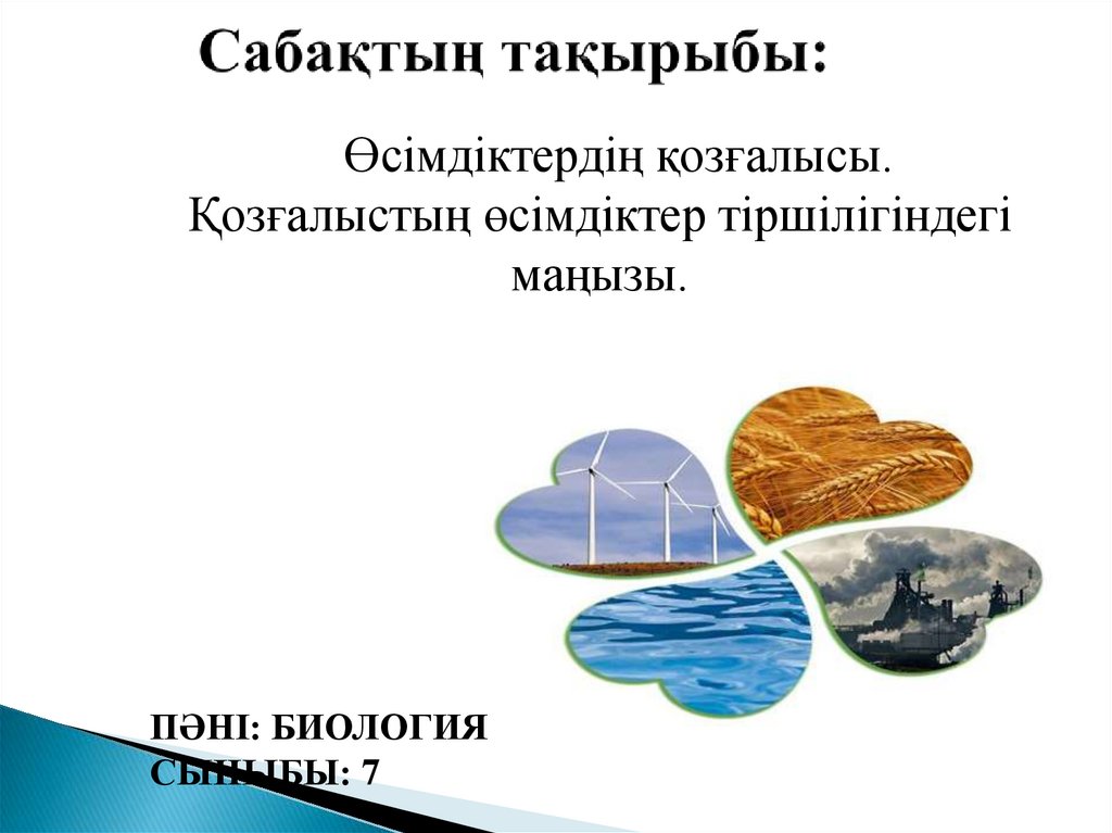 Сабақтың тақырыбы: