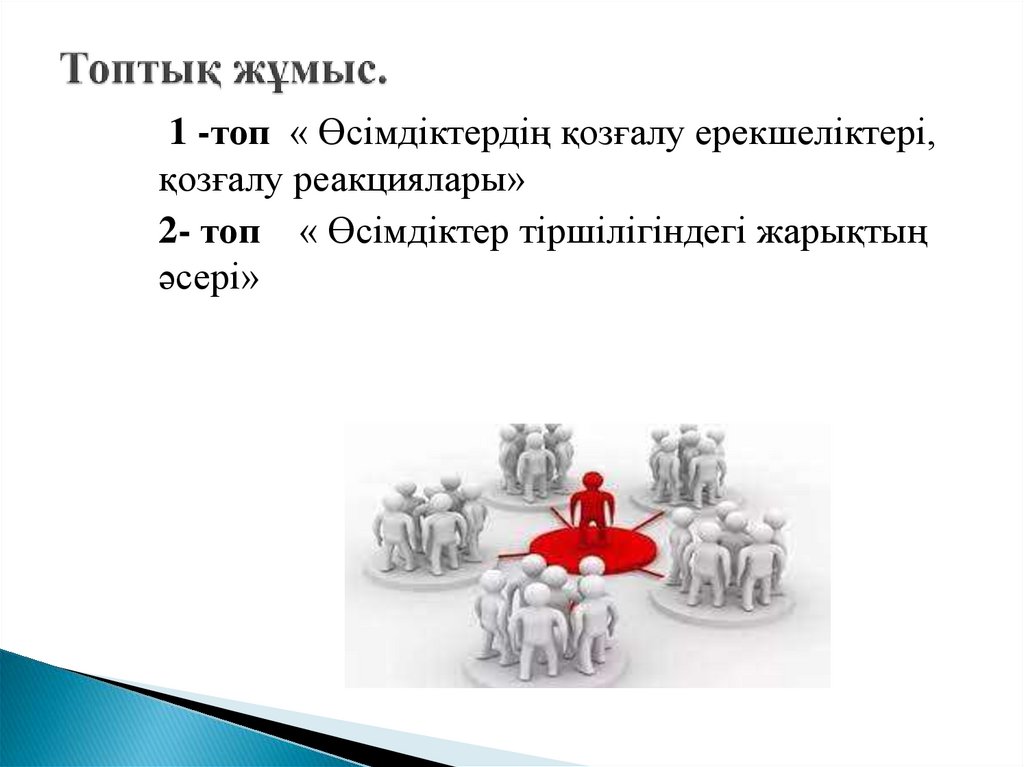 Топтық жұмыс.