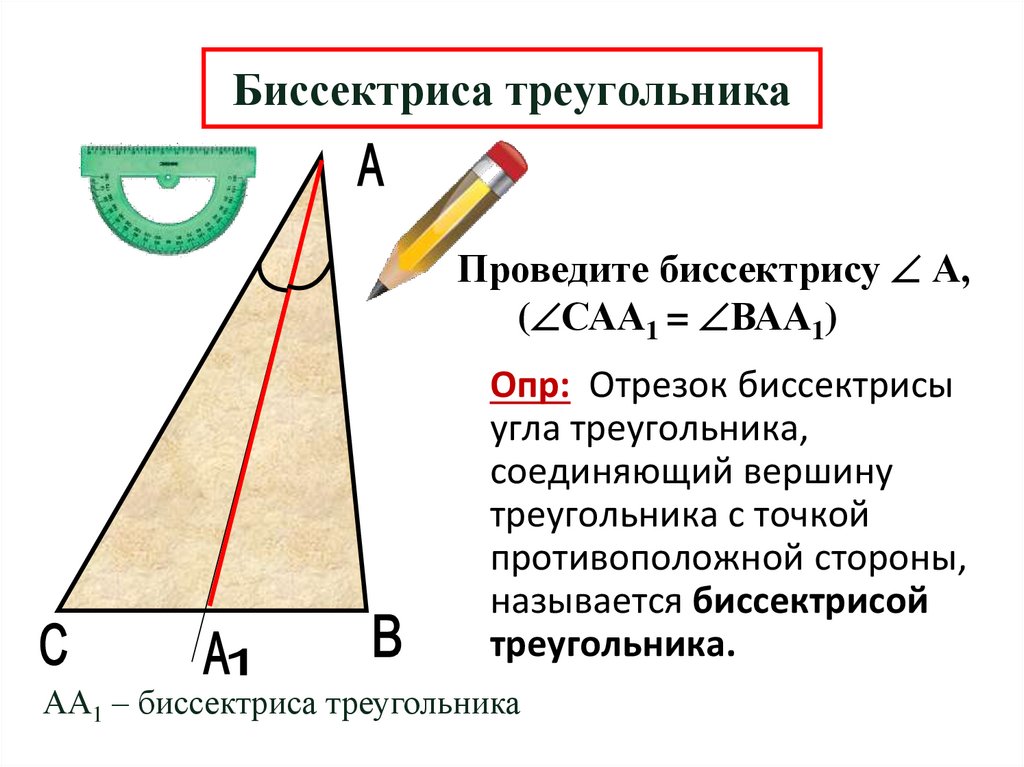 Биссектриса треугольника