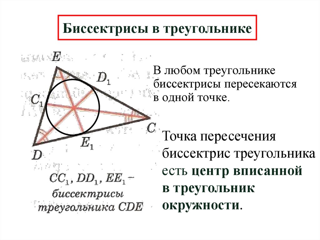 Биссектрисы в треугольнике