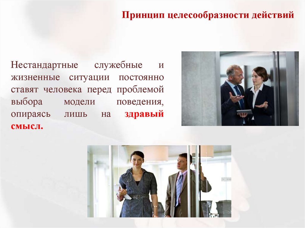 Принцип целесообразности действий