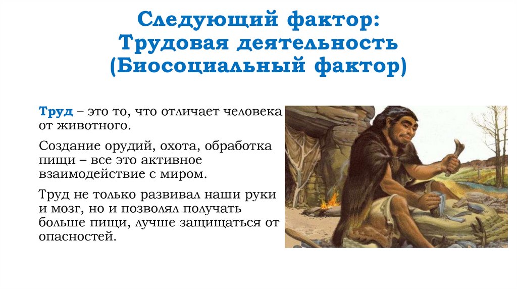 Следующий фактор: Трудовая деятельность (Биосоциальный фактор)