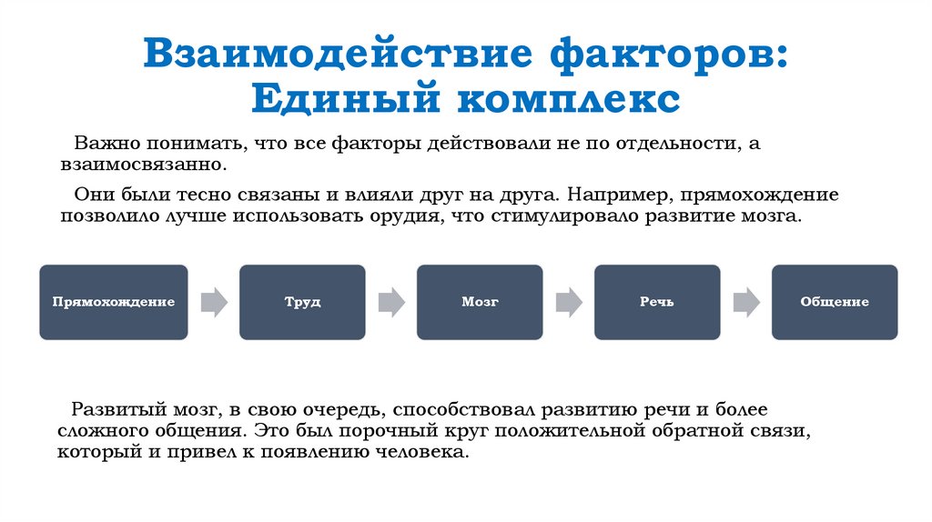 Взаимодействие факторов: Единый комплекс