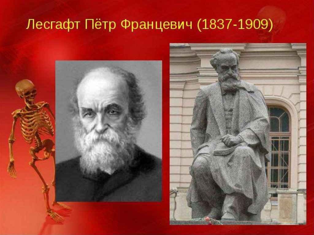 Закономерности топографии артерий