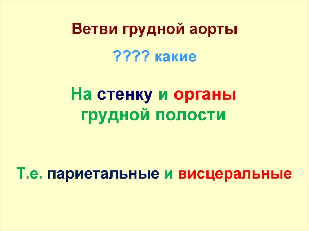 Ветви грудной аорты