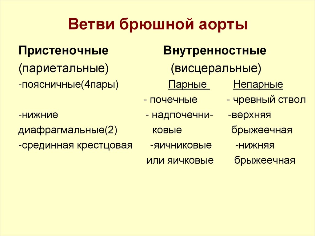 Ветви брюшной аорты