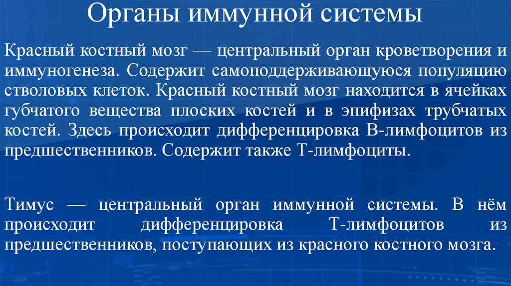 Органы иммунной системы