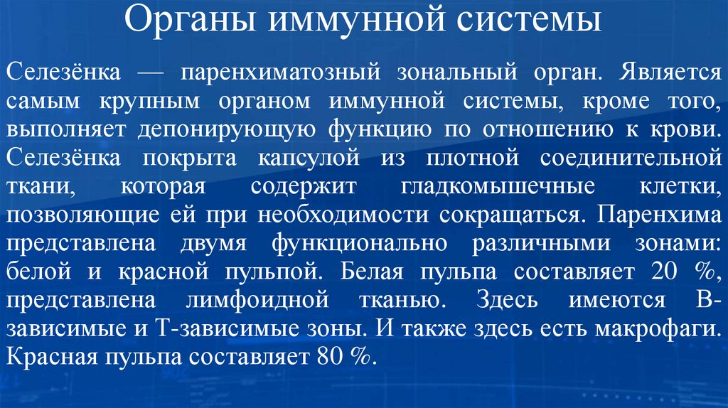 Органы иммунной системы