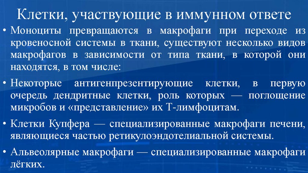 Клетки, участвующие в иммунном ответе