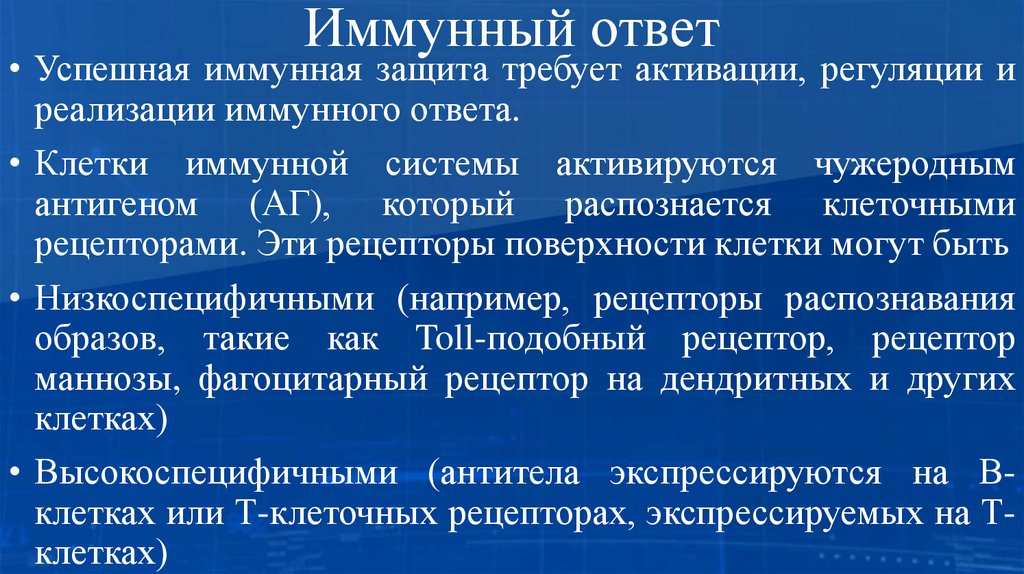 Иммунный ответ