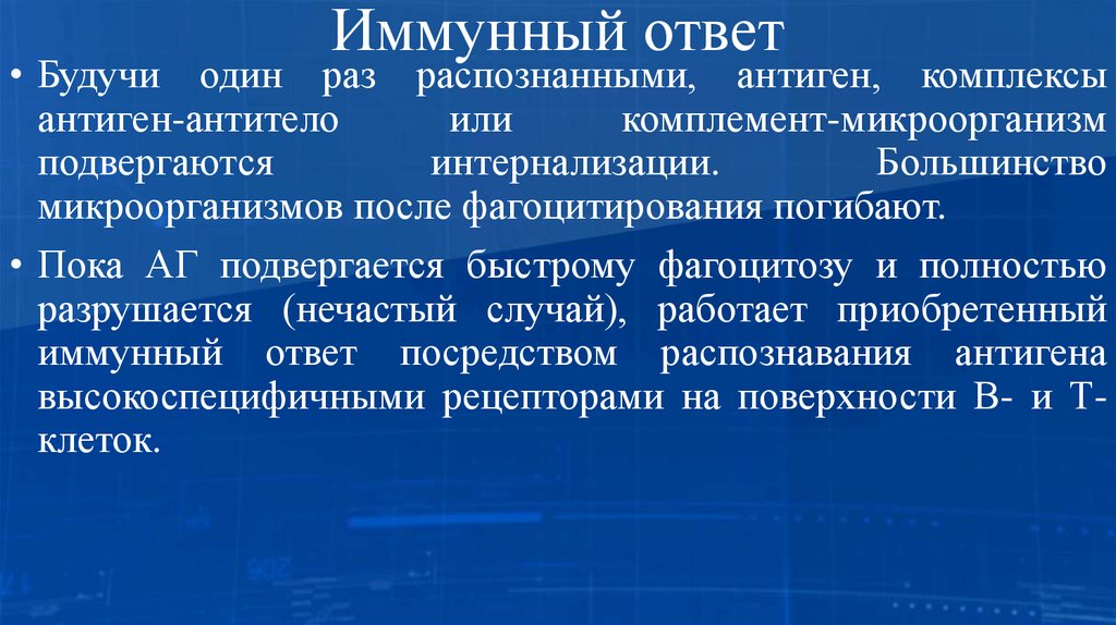 Иммунный ответ