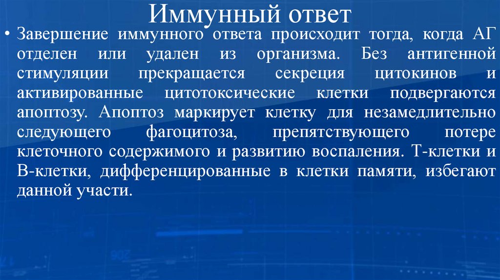 Иммунный ответ