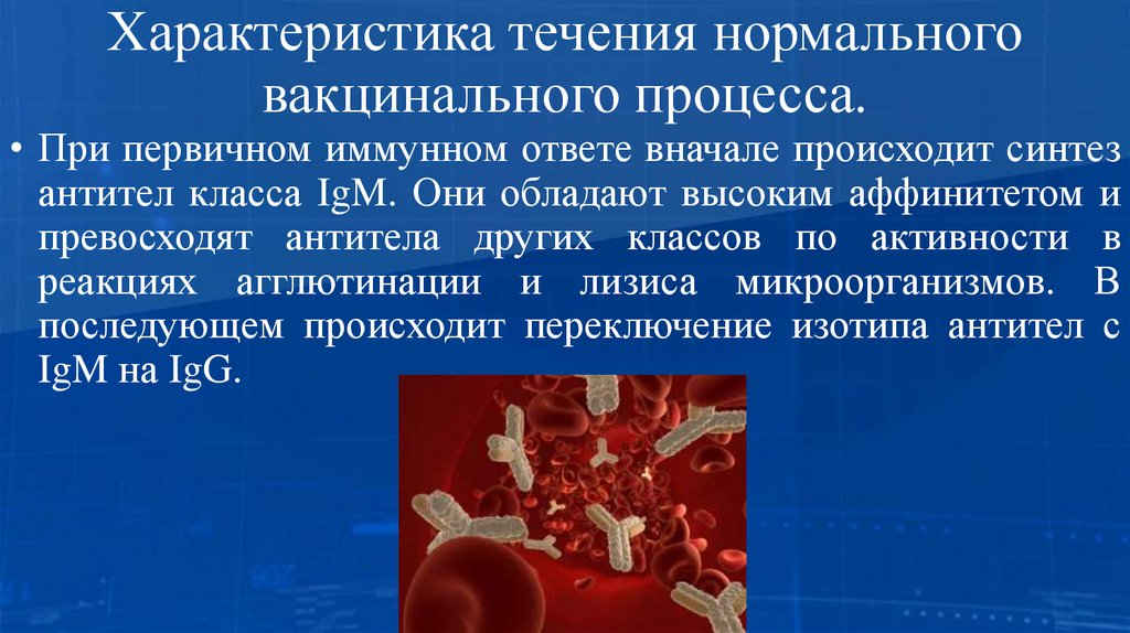 Характеристика течения нормального вакцинального процесса.