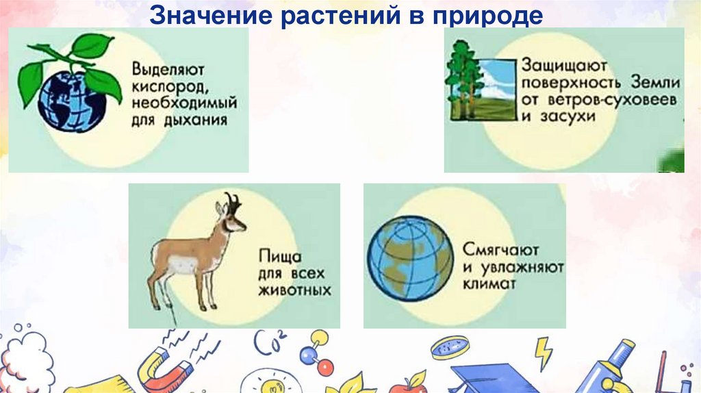 Значение растений в природе