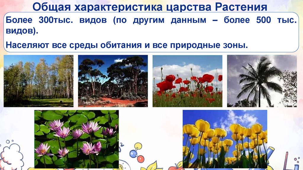 Общая характеристика царства Растения