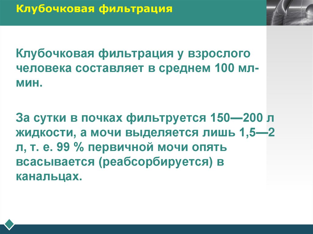 Клубочковая фильтрация