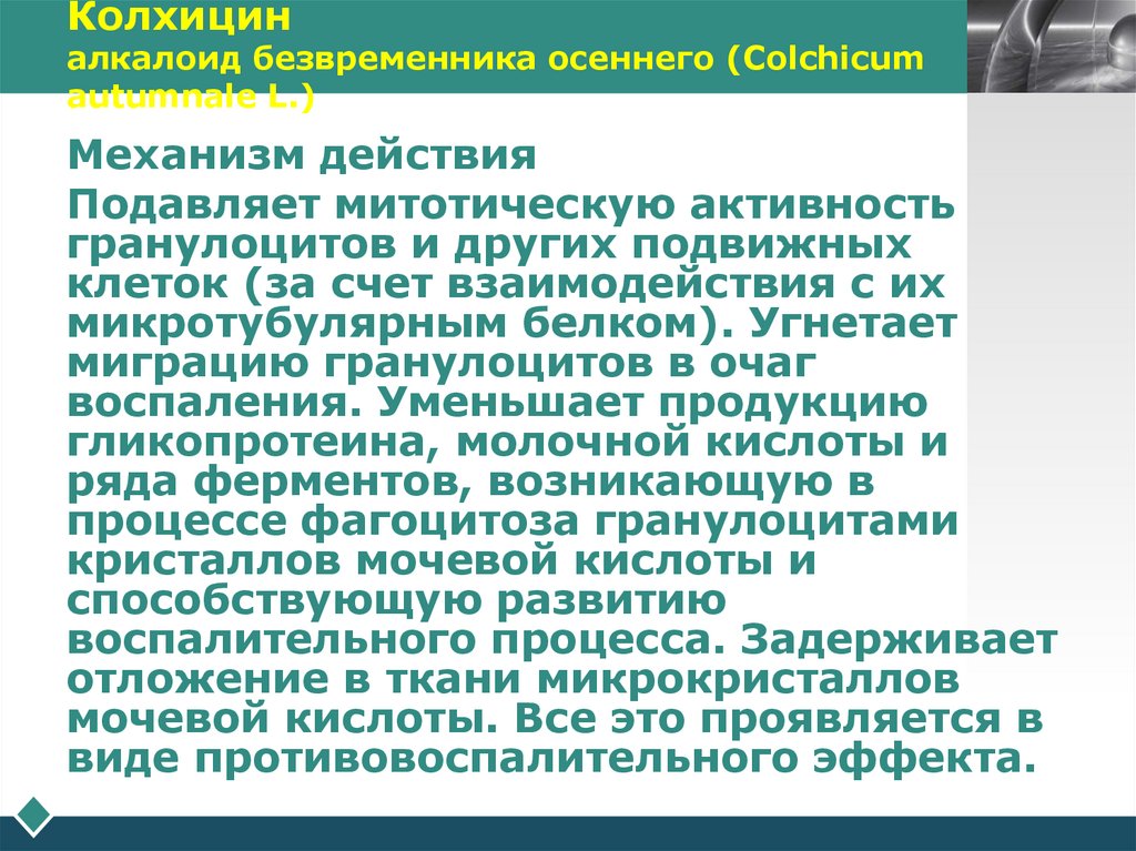 Колхицин алкалоид безвременника осеннего (Colchicum autumnale L.)