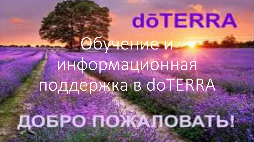 Обучение и информационная поддержка в doTERRA
