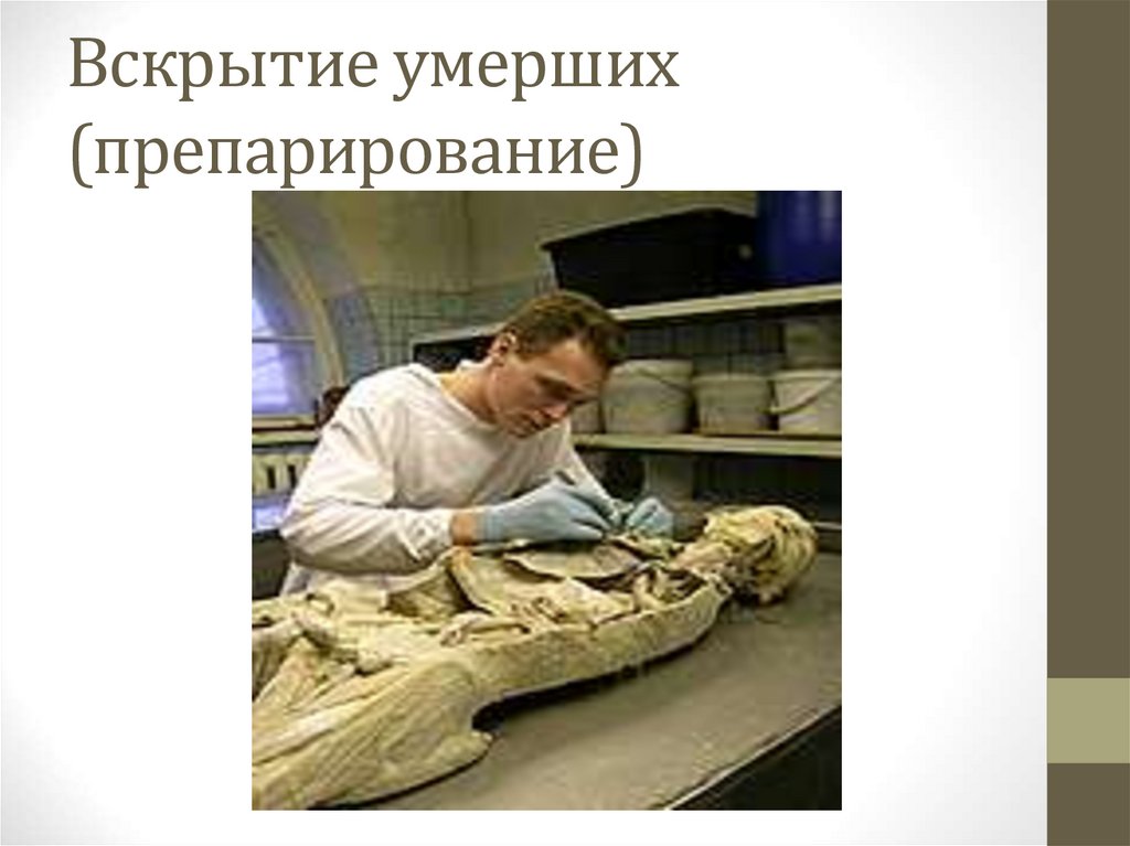 Вскрытие умерших (препарирование)