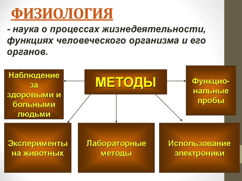 ФИЗИОЛОГИЯ