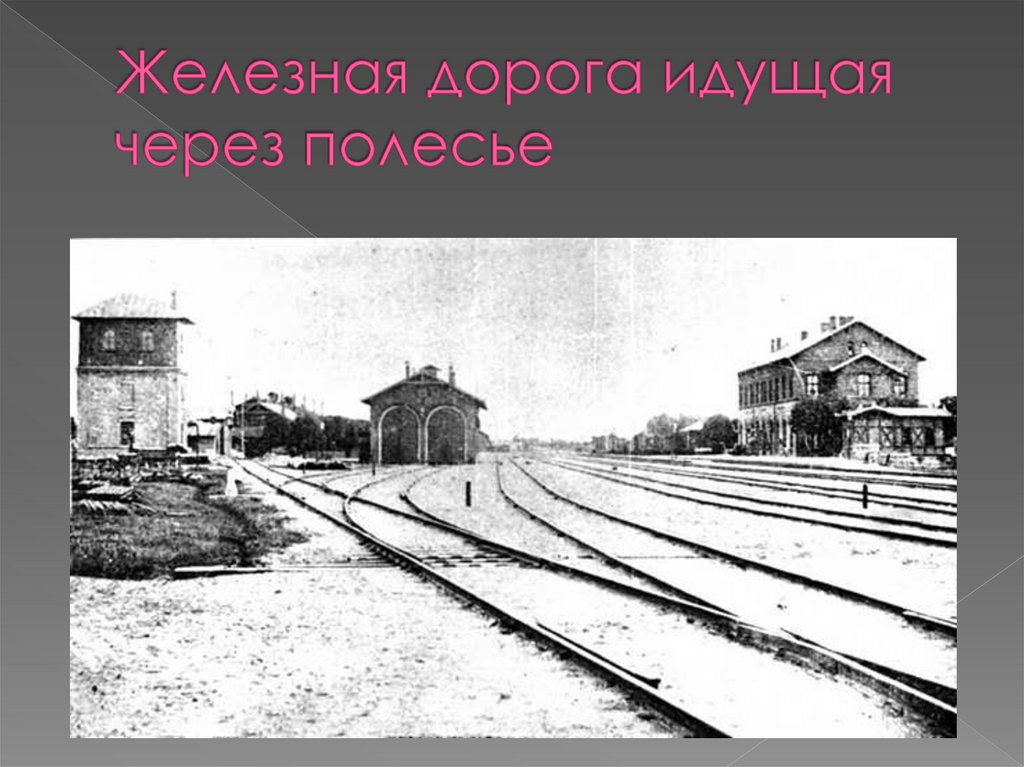 Железная дорога идущая через полесье