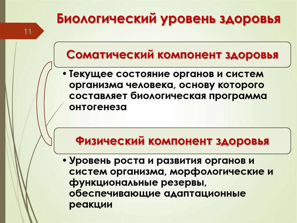 Биологический уровень здоровья