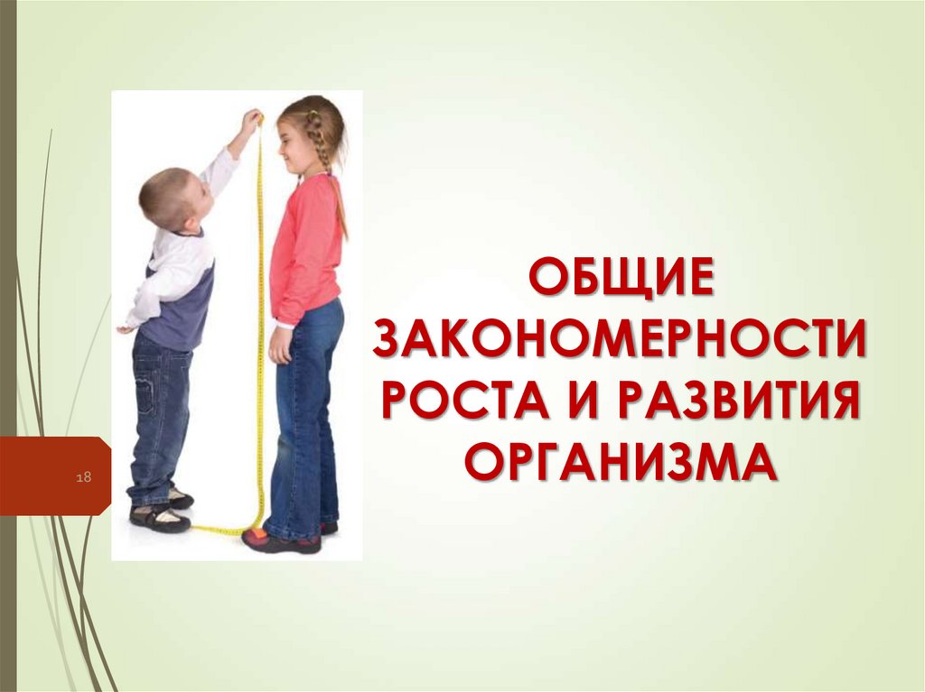 ОБЩИЕ ЗАКОНОМЕРНОСТИ РОСТА И РАЗВИТИЯ ОРГАНИЗМА