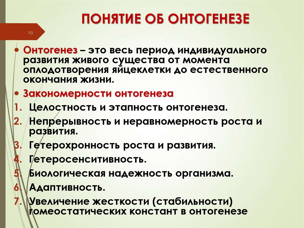 ПОНЯТИЕ ОБ ОНТОГЕНЕЗЕ
