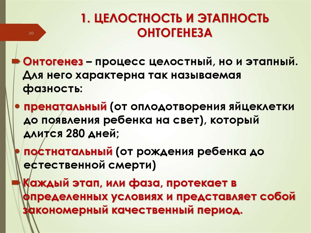 1. ЦЕЛОСТНОСТЬ И ЭТАПНОСТЬ ОНТОГЕНЕЗА