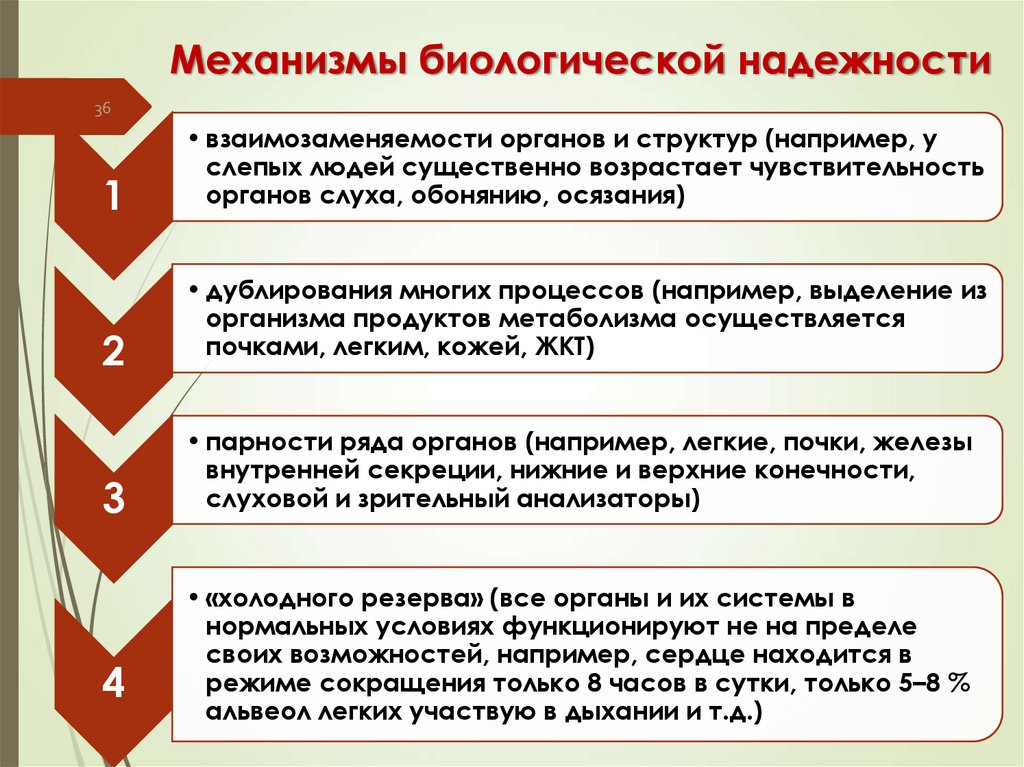 Механизмы биологической надежности