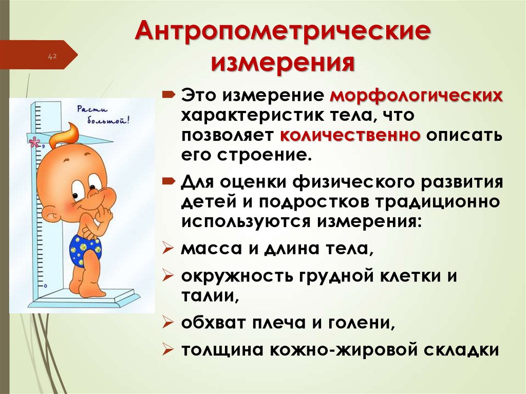 Антропометрические измерения