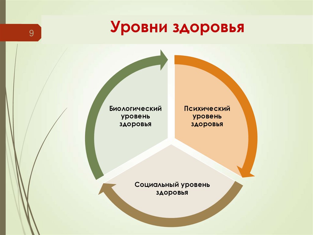 Уровни здоровья