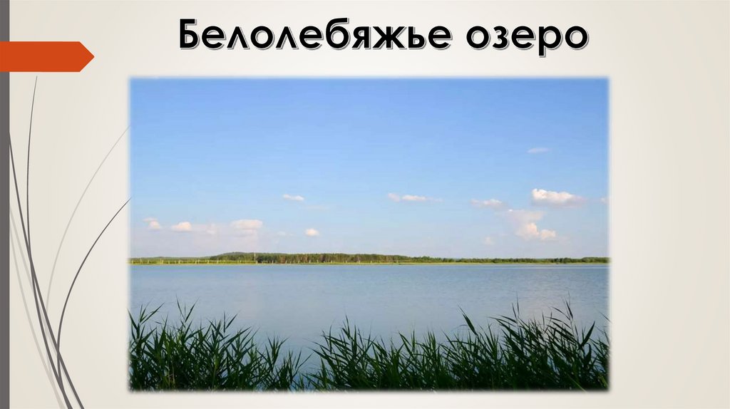 Белолебяжье озеро