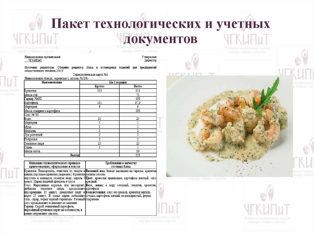 Пакет технологических и учетных документов