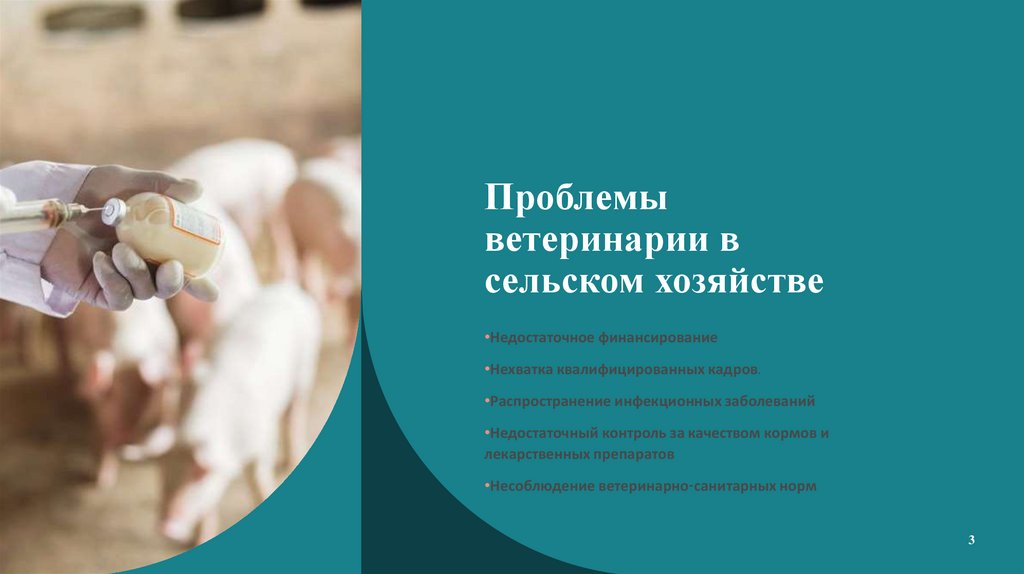Проблемы ветеринарии в сельском хозяйстве