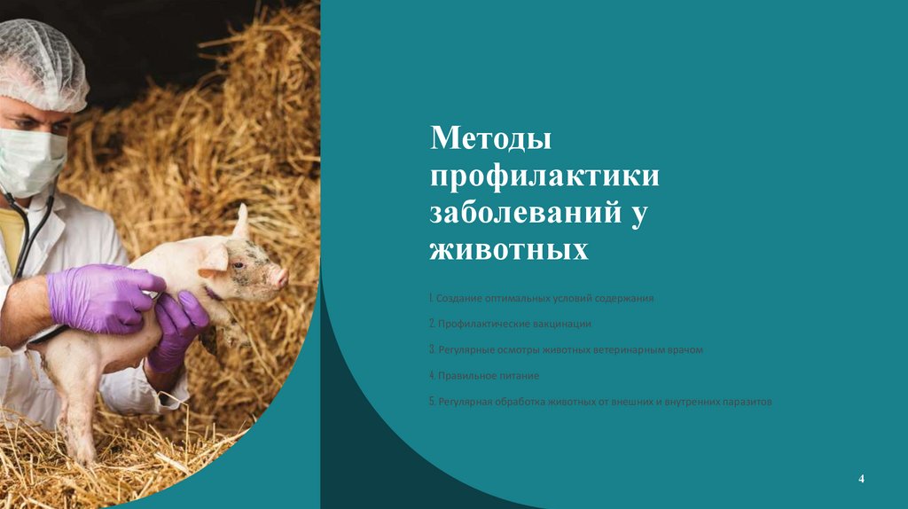 Методы профилактики заболеваний у животных