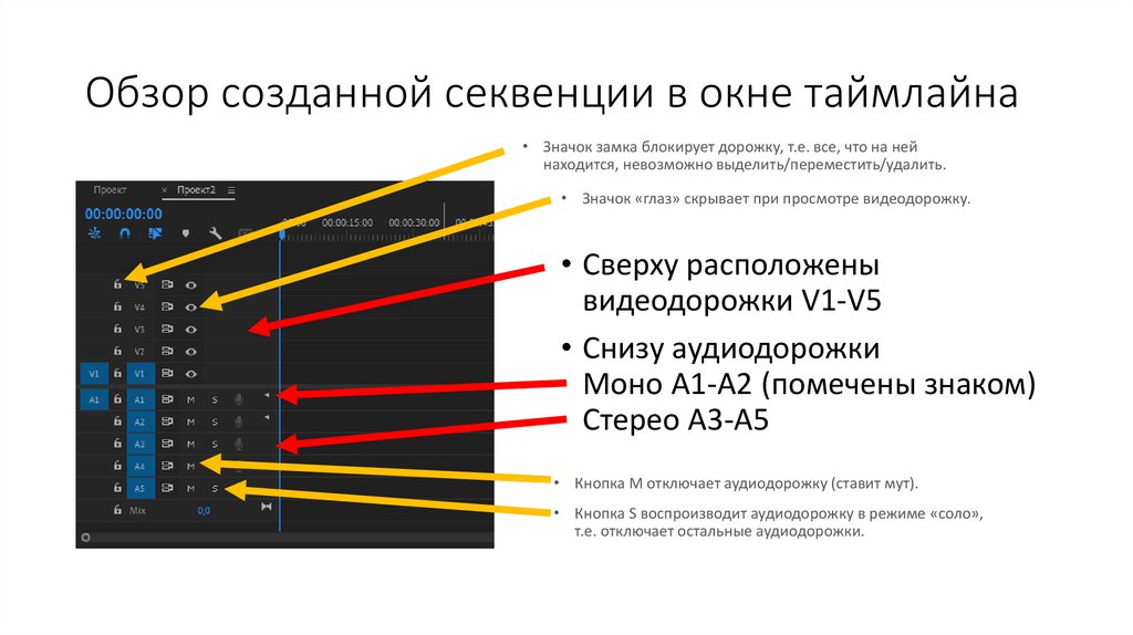 Обзор созданной секвенции в окне таймлайна