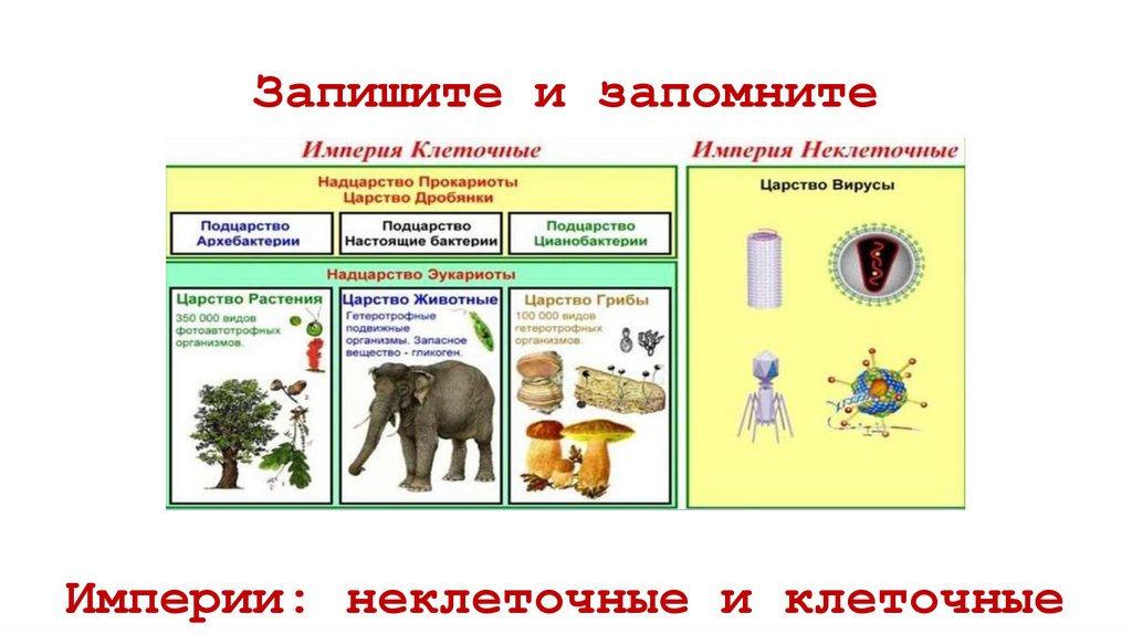 Запишите и запомните