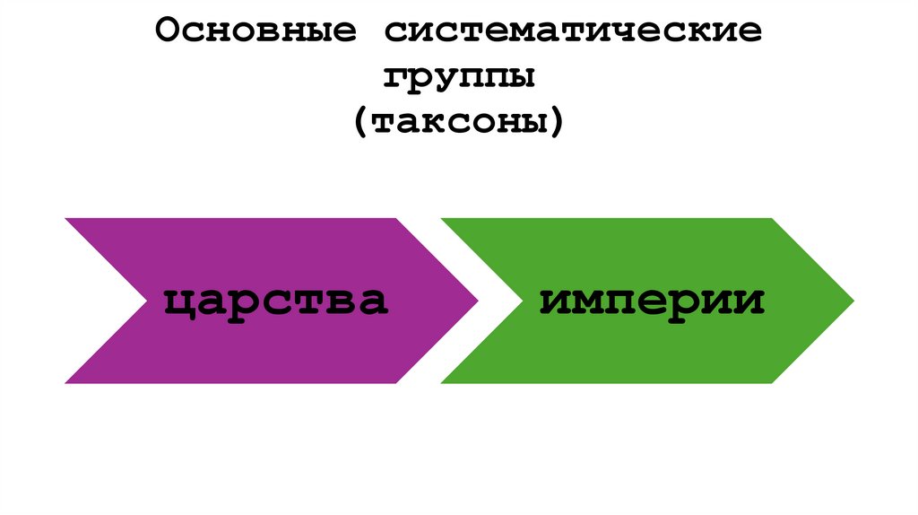 Основные систематические группы (таксоны)