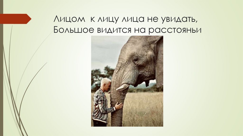 Лицом  к лицу лица не увидать, Большое видится на расстояньи