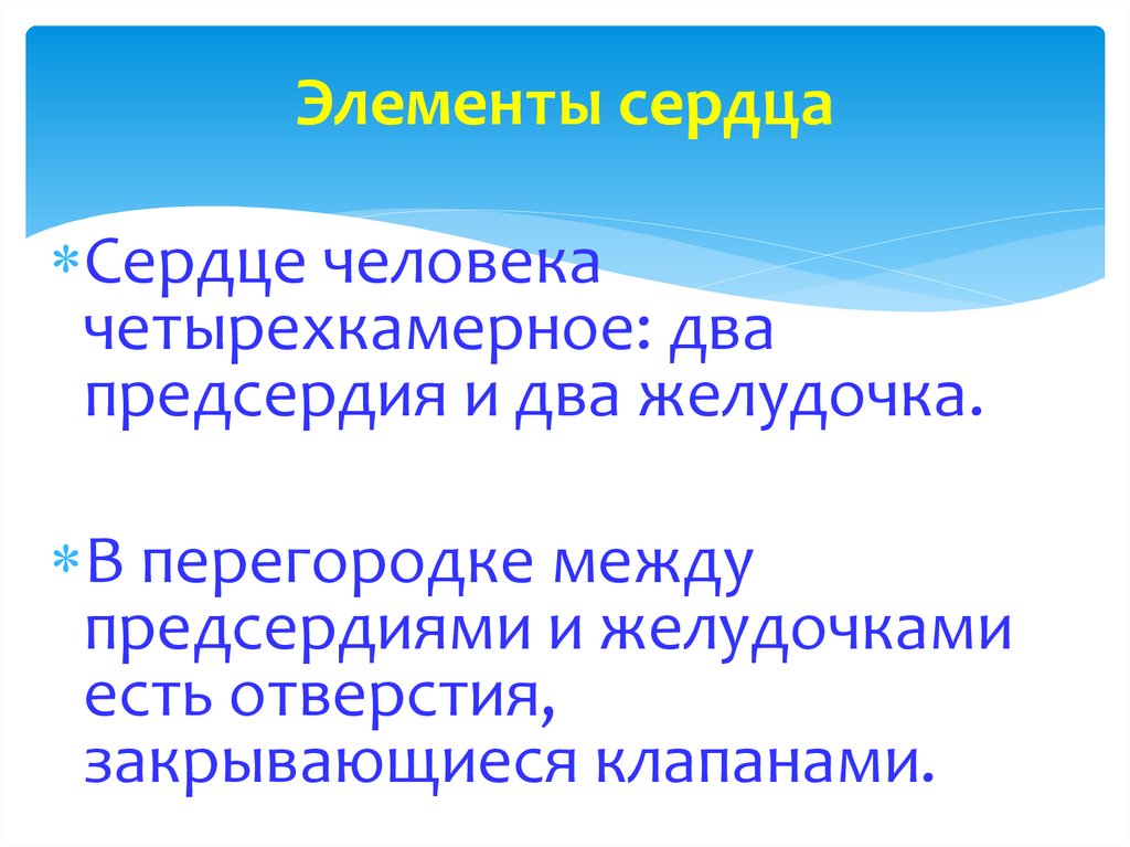 Элементы сердца